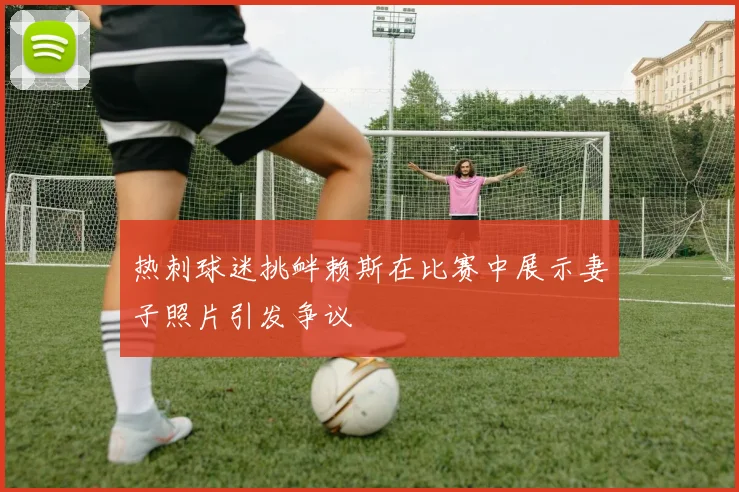 热刺球迷挑衅赖斯在比赛中展示妻子照片引发争议