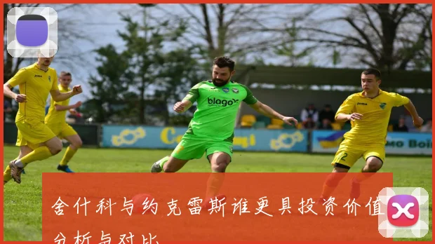 舍什科与约克雷斯谁更具投资价值分析与对比